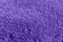 紫色花海紫色花海植物背景高清图片