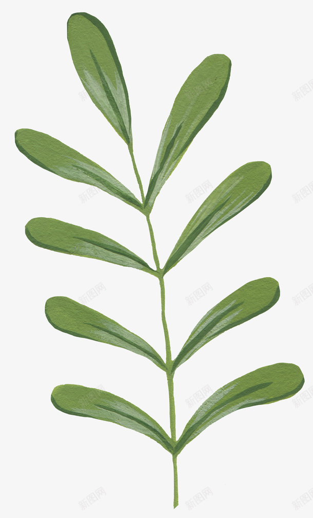手绘叶子植物油画质感png免抠素材_88icon https://88icon.com 手绘 颜料质感 油画 叶子 植物