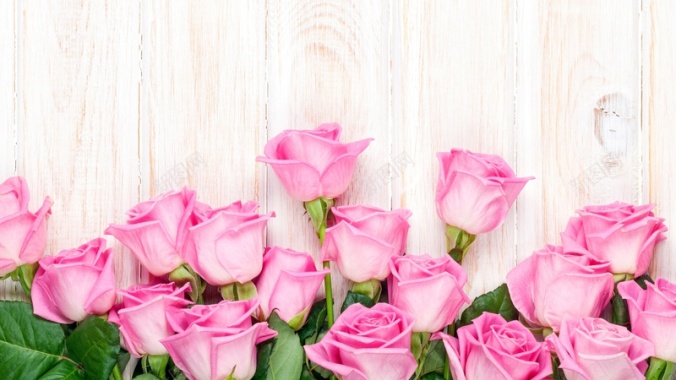 木板粉色玫瑰背景