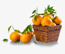 柑橘橘子芦柑免扣元素素材
