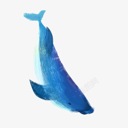 彩绘漂亮鲸鱼素材