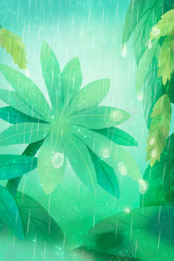 雨中的林叶素材背景
