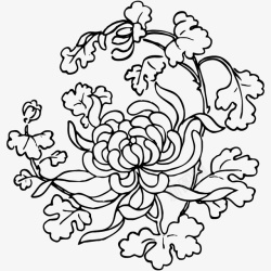 菊花图案花纹圆形传统图案高清图片