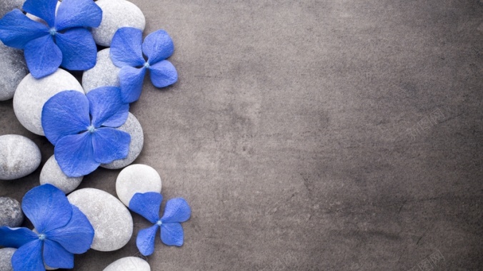蓝色的花朵石头背景