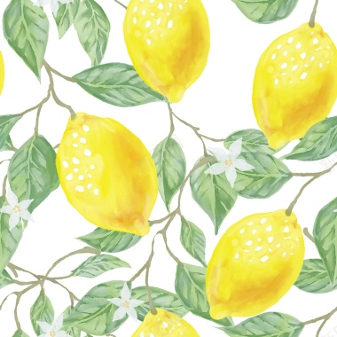 柠檬插画背景背景