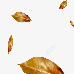 金色金箔树叶装饰素材