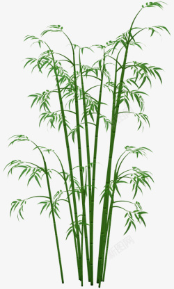 国风绿色竹子免费抠图素材