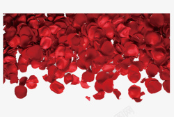 全国摄影主题红色浪漫梦幻玫瑰花瓣PNG高清特写高清图片