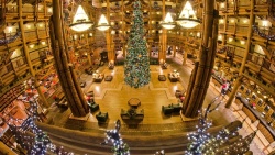 大厅灯大圣诞树大厅高清图片