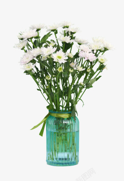 白色的瓶子高清瓶装花草绿叶植物高清图片