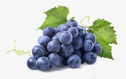 吃美味好吃的葡萄高清图片