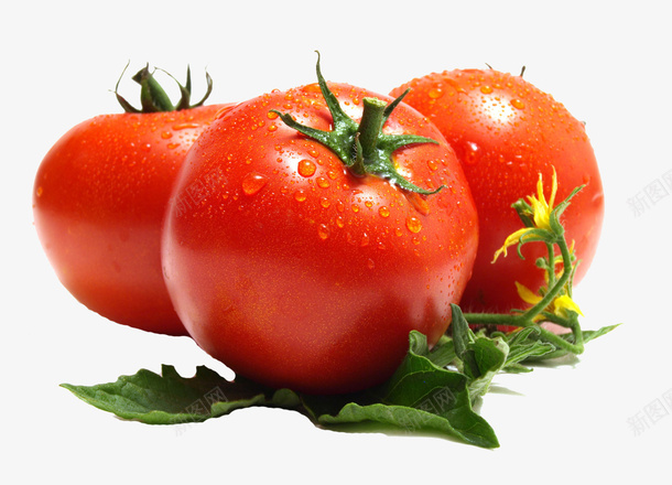西红柿透明素材png免抠素材_88icon https://88icon.com 果蔬 西红柿 透明 果蔬素材