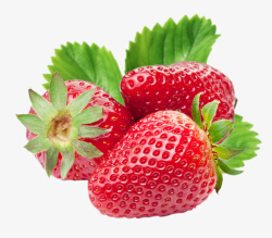 草莓新鲜水果美味素材