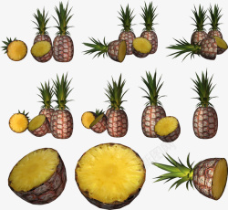 多种组合的菠萝素材