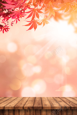 秋天红枫叶温暖背景背景