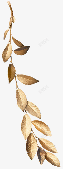 金色金箔树叶装饰素材