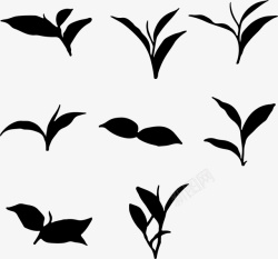 树叶茶叶抠图元素素材