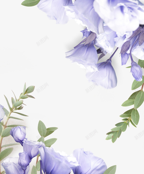 紫色鲜花树叶花卉png免抠素材_88icon https://88icon.com 紫色 鲜花 树叶 花卉