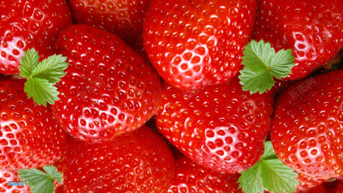 水果草莓高清图素背景