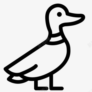 神奇鸭鸟宠物图标