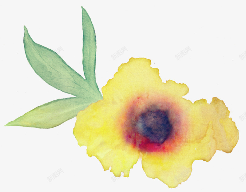 11FreeWatercolorFlowerspng免抠素材_88icon https://88icon.com 