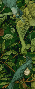 植物插画为色拉条制作的手绘插画植物学家委托由VDK背景