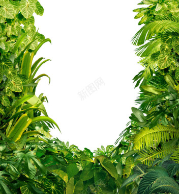 绿色植物边框海报背景背景