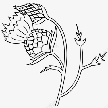奶蓟草奶蓟植物图标