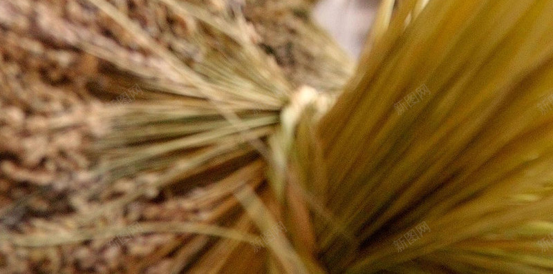 今日秋分大丰收的稻草束广西龙胜各族自治县Federjpg设计背景_88icon https://88icon.com 今日 秋分 丰收 稻草 广西 龙胜 各族 自治县