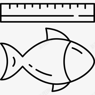 大小鱼的大小捕鱼测量图标