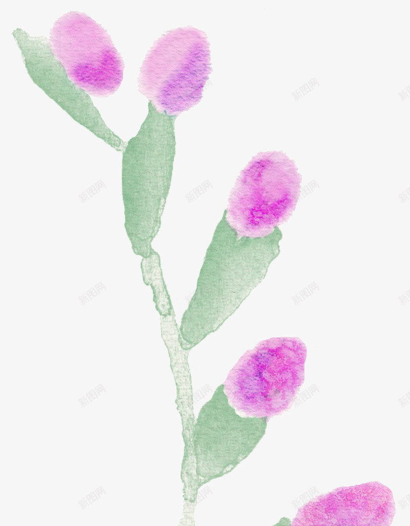 11FreeWatercolorFlowers好看png免抠素材_88icon https://88icon.com 好看