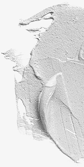 DROAS公式   泥天然由来美容成分引出DROAS公式 沖縄産 海洋深层水加 种国産海藻配合 髪头皮润与 思触指通导 膏体png免抠素材_88icon https://88icon.com 公式 国産 通导 思触指 头皮 配合 海藻 水加种 深层 海洋 沖縄