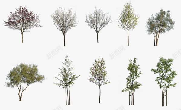 28 DIVERSE TREES PACK   cutout trees植物素材png免抠素材_88icon https://88icon.com 植物 素材