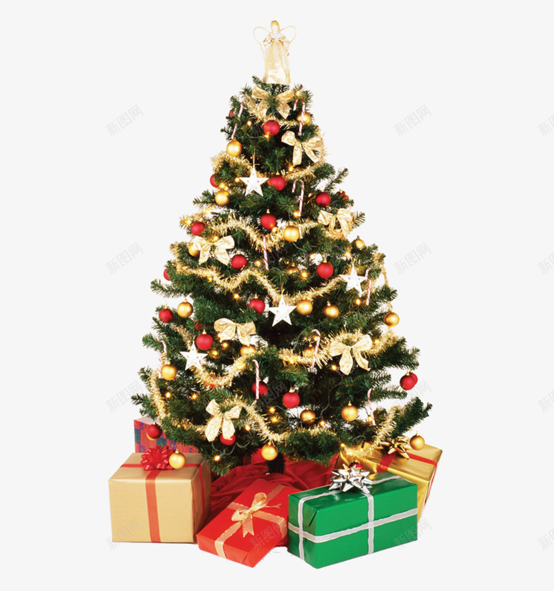 圣诞节圣诞树植物素材png免抠素材_88icon https://88icon.com 圣诞树 圣诞节 植物 素材