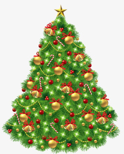 圣诞节圣诞树植物PNG透明背景素材素材