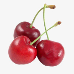 Cherry 车厘子 樱桃 免扣透明png果蔬素材素材