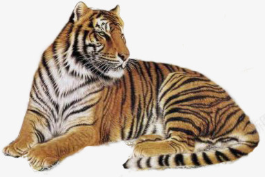 透明 54PNG透明背景素材png免抠素材_88icon https://88icon.com 透明 背景 素材