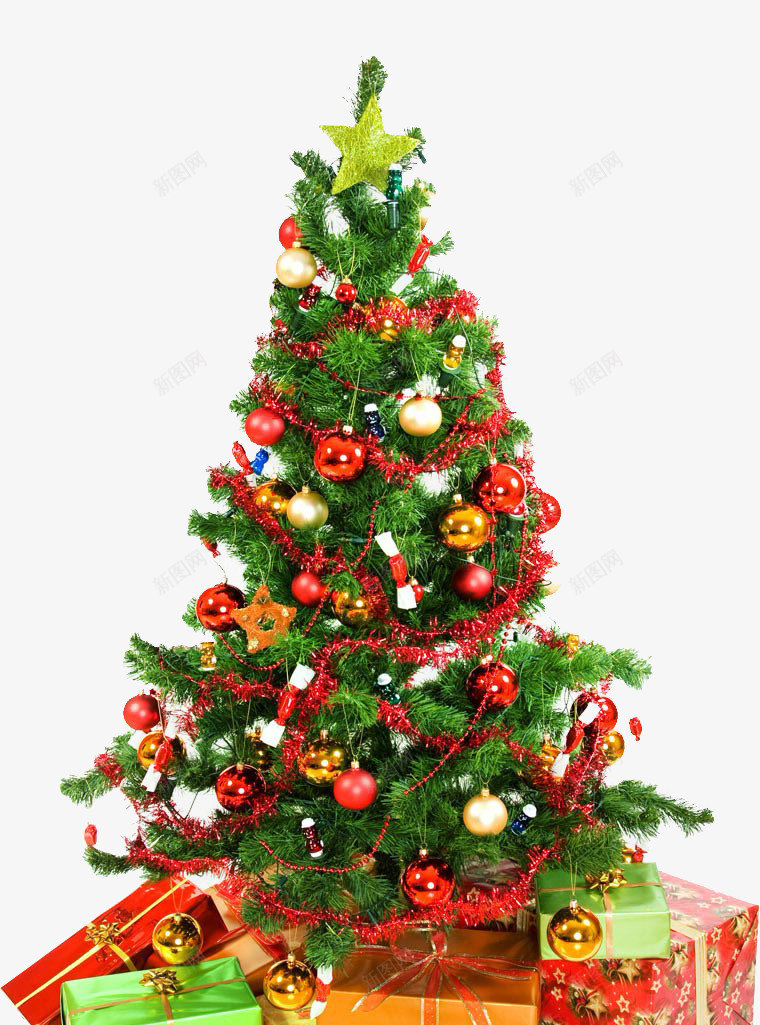 圣诞节圣诞树植物素材png免抠素材_88icon https://88icon.com 圣诞树 圣诞节 植物 素材