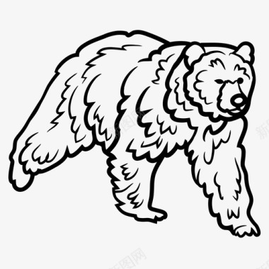 哺乳动物灰熊动物棕熊图标