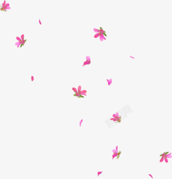 春天花瓣花朵漂浮飘落小清新粉色装饰素材