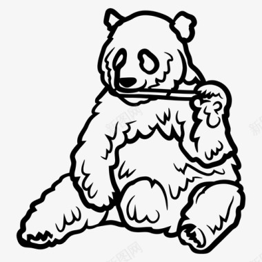 大熊猫动物熊图标