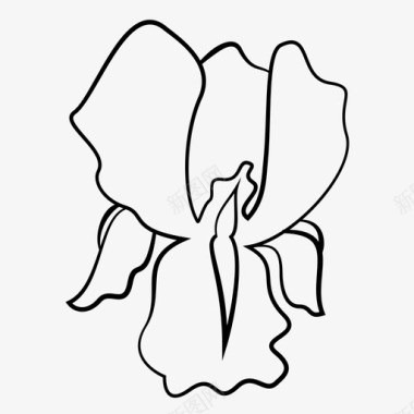 鸢尾花卉自然图标