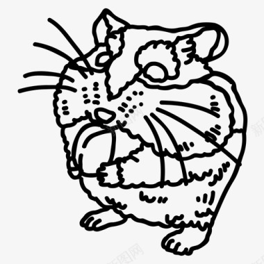 老鼠仓鼠动物宠物图标