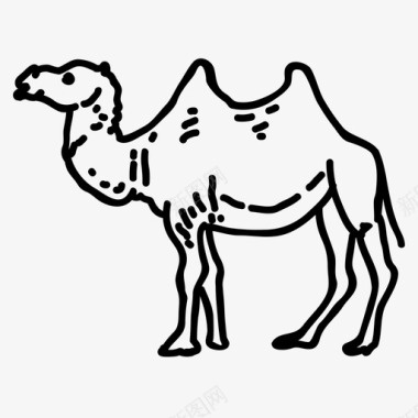 骆驼骆驼动物沙漠图标