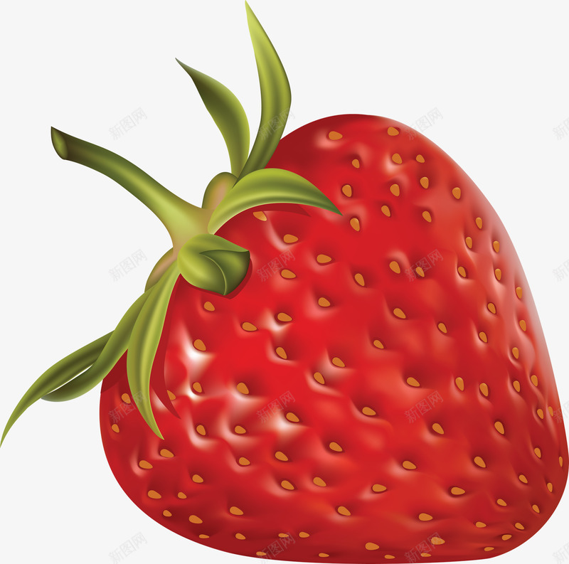 草莓草莓水果食物美食水果8蔬菜水果png免抠素材_88icon https://88icon.com 水果 美食 草莓 蔬菜水果 食物