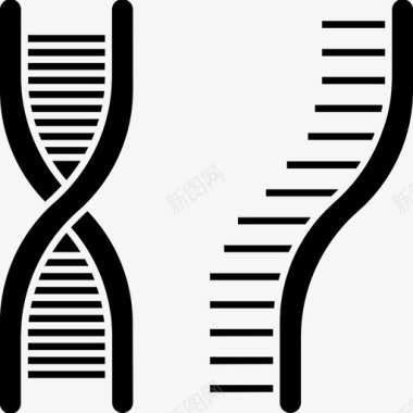 小病毒dna遗传学基因组学图标