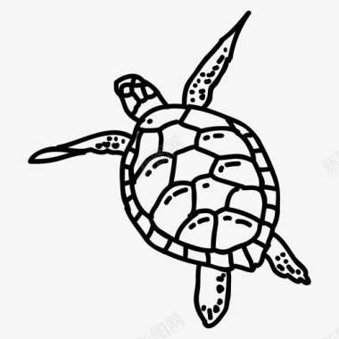 动物恐龙海龟水生动物生鳖图标