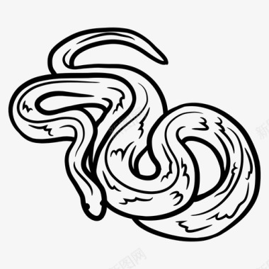 黑奶蛇动物蛇科图标