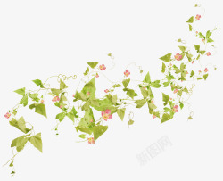 植物 叶子 树叶 鲜花 绿叶 装饰 彩铅 小清新 插画的旅程3PNG素材植物鲜花素材