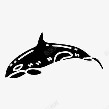 虎鲸水生动物海洋图标